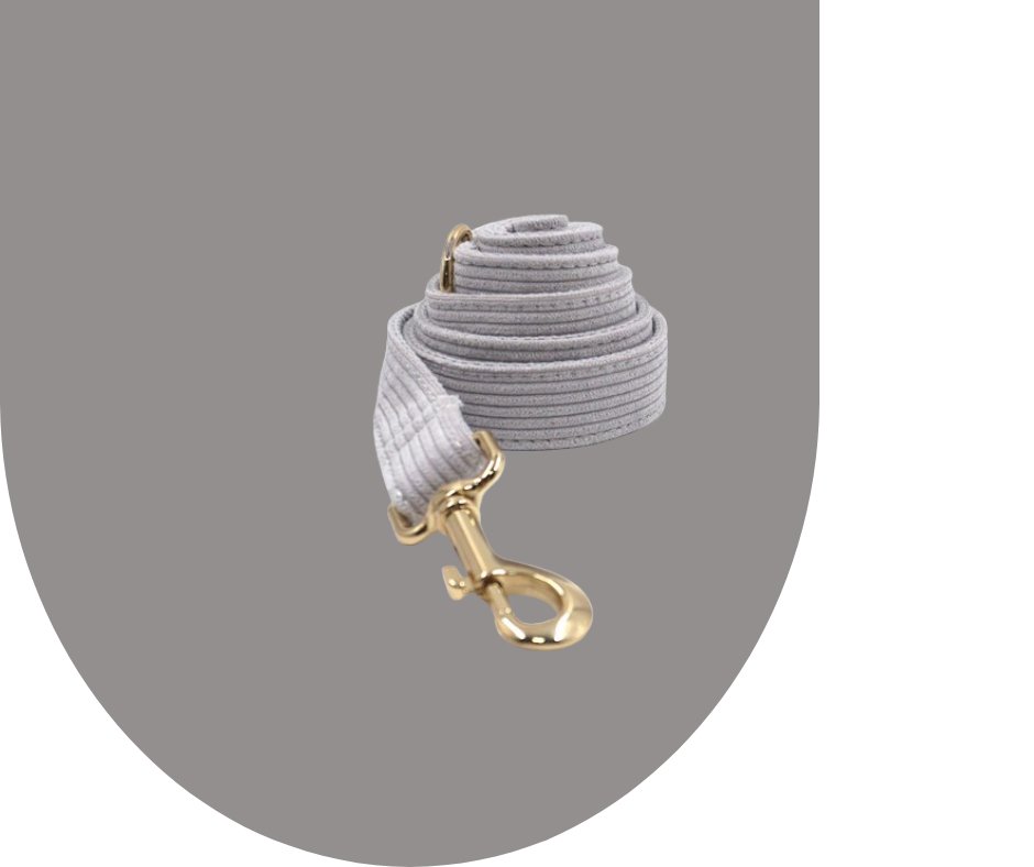 Enhance Your Pet's Style with Grey Corduroy Collection-Heyripet-Neema's Pets