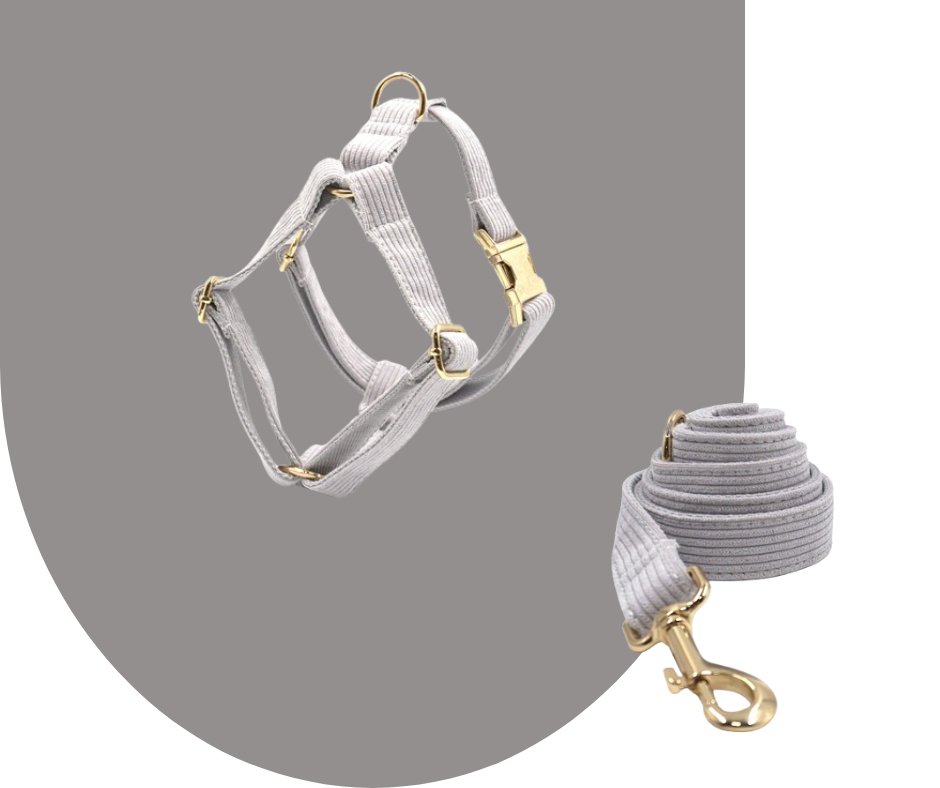 Grey Velvet Corduroy Pet Collection-Neema's Pets