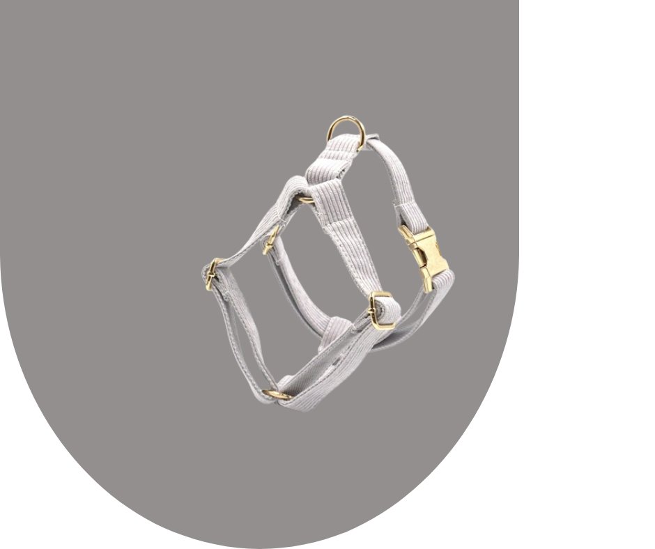 Enhance Your Pet's Style with Grey Corduroy Collection-Heyripet-Neema's Pets