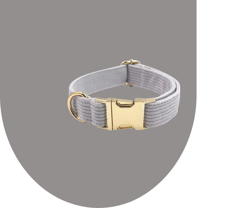 Enhance Your Pet's Style with Grey Corduroy Collection-Heyripet-Neema's Pets