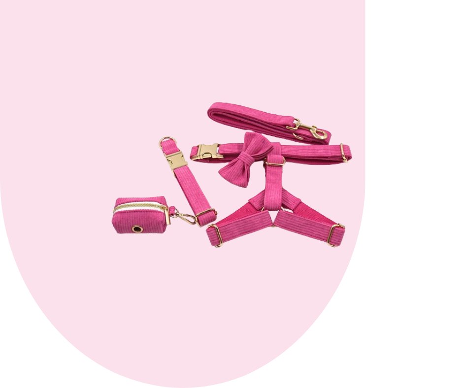 Hot Pink Corduroy Pet Collection: Unleash style and durability!-Heyripet-Neema's Pets