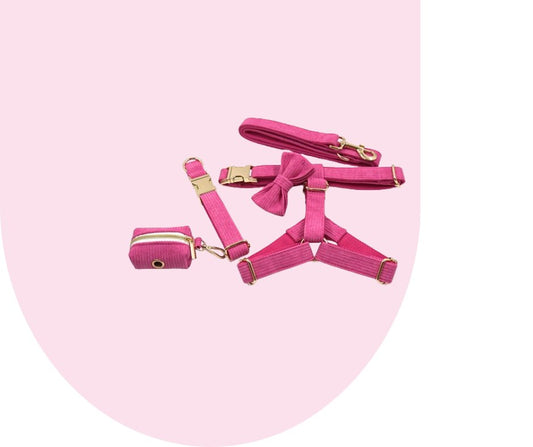 Hot Pink Corduroy Pet Collection: Unleash style and durability!-Heyripet-Neema's Pets