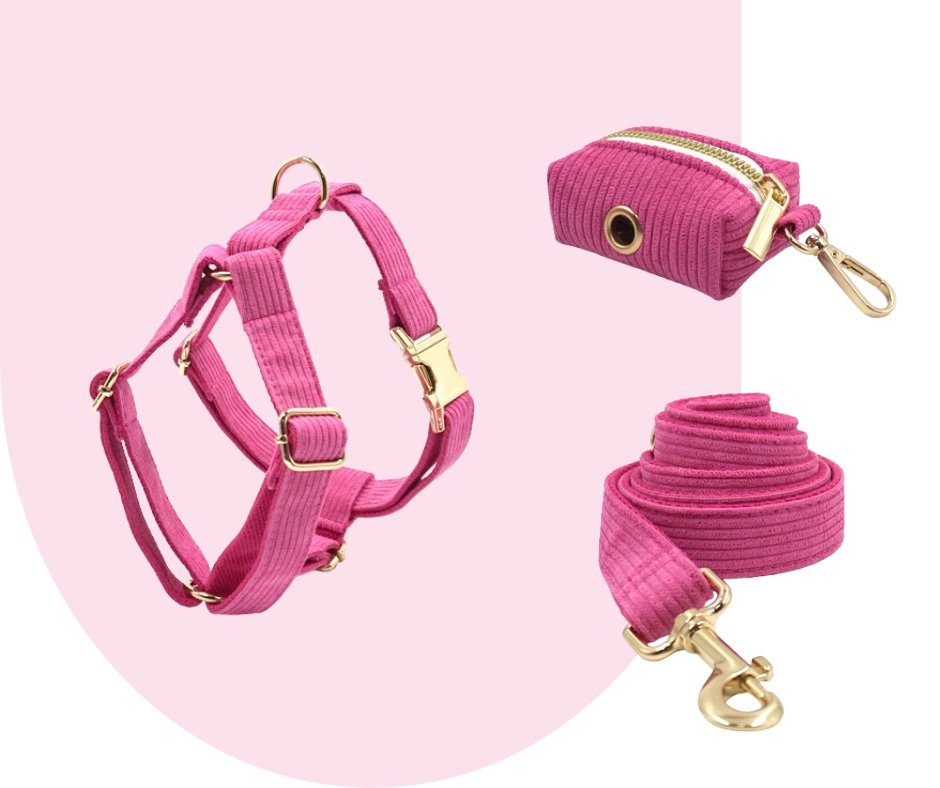 Hot Pink Corduroy Pet Collection: Unleash style and durability!-Heyripet-Neema's Pets