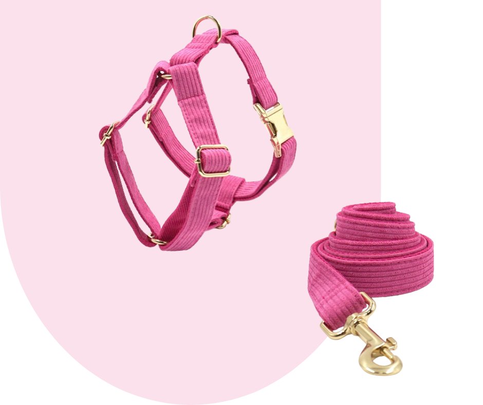 Hot Pink Corduroy Pet Collection: Unleash style and durability!-Heyripet-Neema's Pets