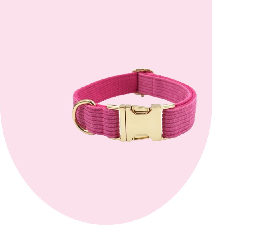 Hot Pink Corduroy Pet Collection: Unleash style and durability!-Heyripet-Neema's Pets