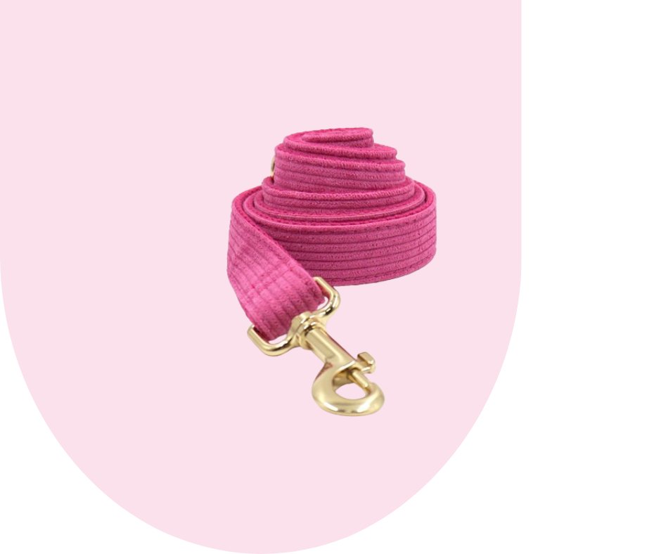 Hot Pink Corduroy Pet Collection: Unleash style and durability!-Heyripet-Neema's Pets