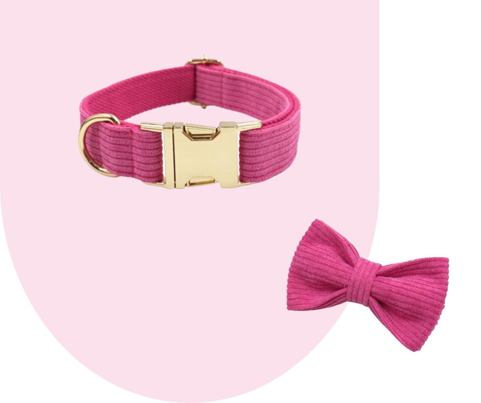 Hot Pink Corduroy Pet Collection: Unleash style and durability!-Heyripet-Neema's Pets