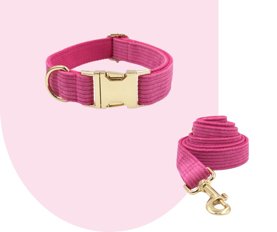Hot Pink Corduroy Pet Collection: Unleash style and durability!-Heyripet-Neema's Pets