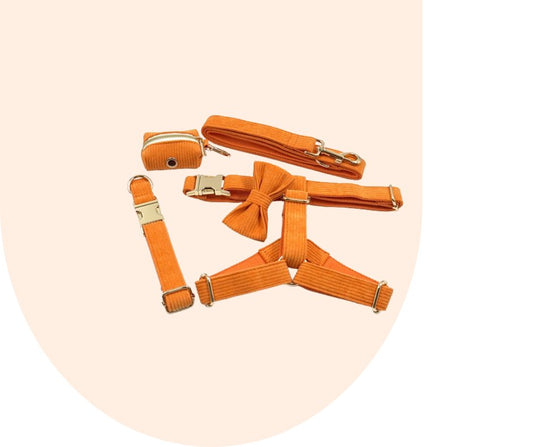Stand Out with the Orange Corduroy Pet Collection!-Heyripet-Neema's Pets