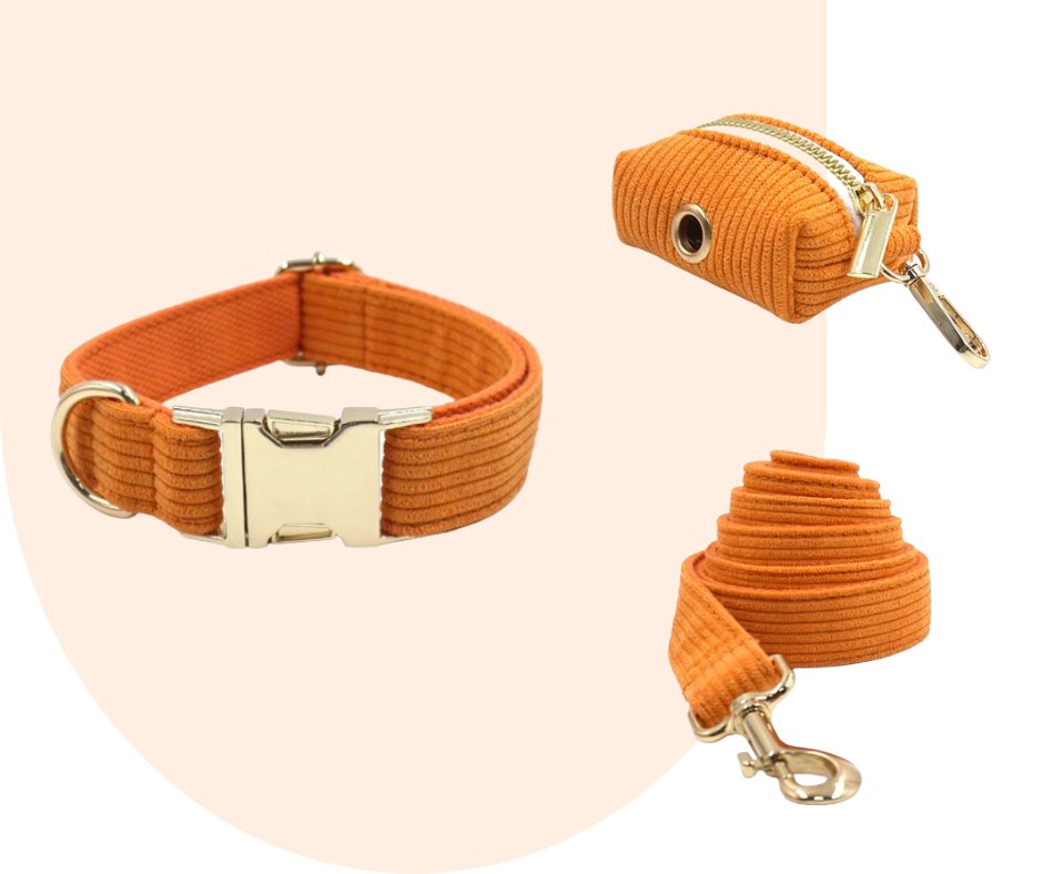 Stand Out with the Orange Corduroy Pet Collection!-Heyripet-Neema's Pets