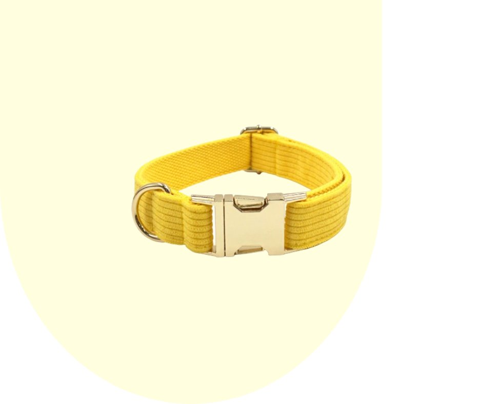 Radiate Positivity with the Yellow Velvet Corduroy Pet Collection!-Heyripet-Neema's Pets