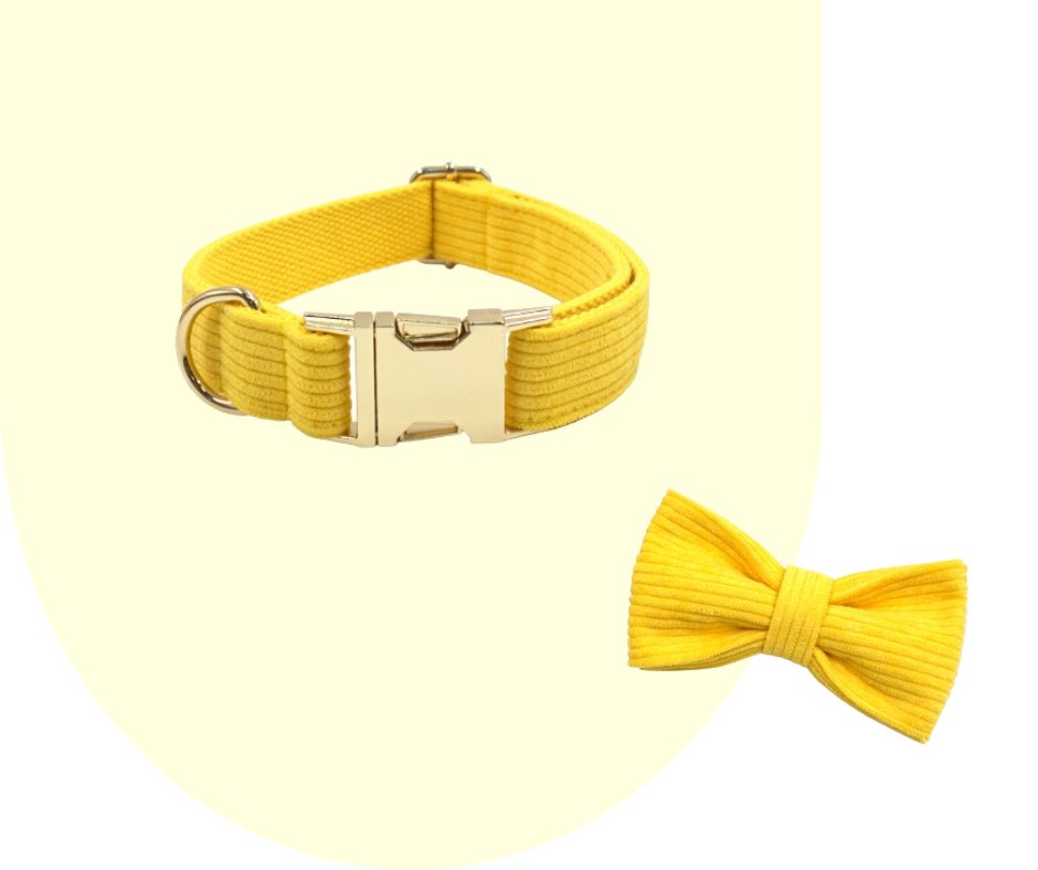 Radiate Positivity with the Yellow Velvet Corduroy Pet Collection!-Heyripet-Neema's Pets