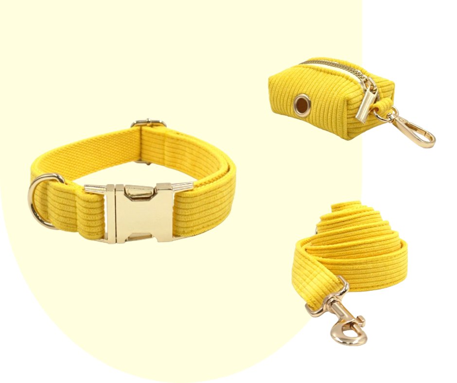 Radiate Positivity with the Yellow Velvet Corduroy Pet Collection!-Heyripet-Neema's Pets
