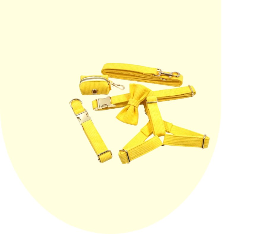 Radiate Positivity with the Yellow Velvet Corduroy Pet Collection!-Heyripet-Neema's Pets