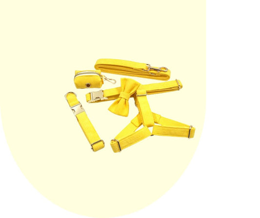 Radiate Positivity with the Yellow Velvet Corduroy Pet Collection!-Heyripet-Neema's Pets