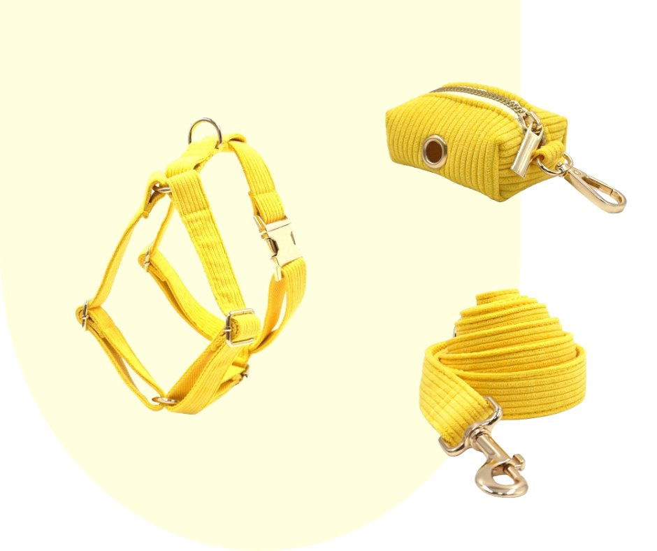 Radiate Positivity with the Yellow Velvet Corduroy Pet Collection!-Heyripet-Neema's Pets
