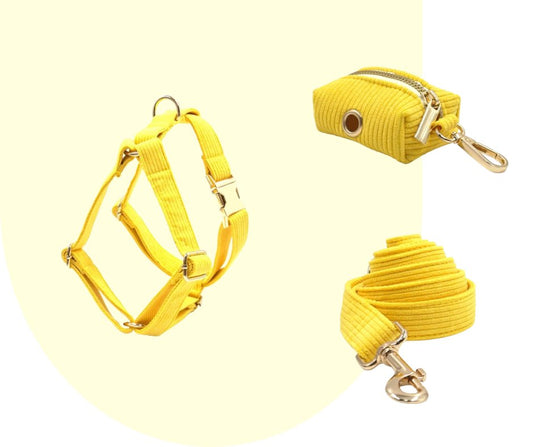 Radiate Positivity with the Yellow Velvet Corduroy Pet Collection!-Heyripet-Neema's Pets