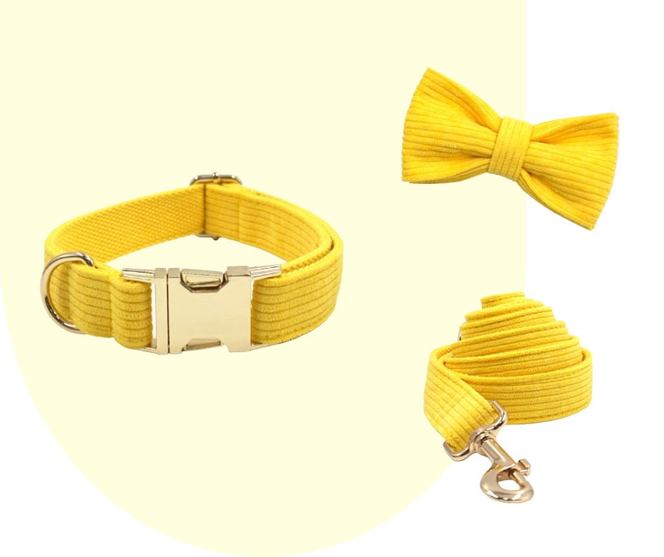 Radiate Positivity with the Yellow Velvet Corduroy Pet Collection!-Heyripet-Neema's Pets
