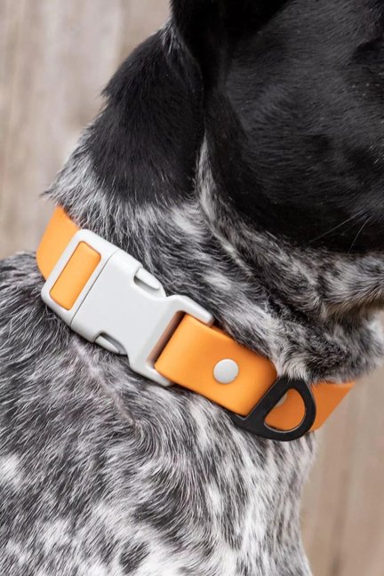 Crimson Glow Waterproof Dog Collar-Aria the Fox-Neema's Pets