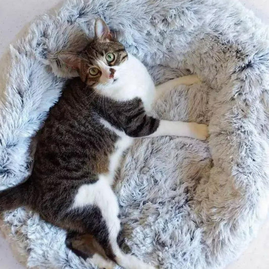 Mr. Peanut's OrthoPlush Pet Bed-Mr. Peanut's-Neema's Pets