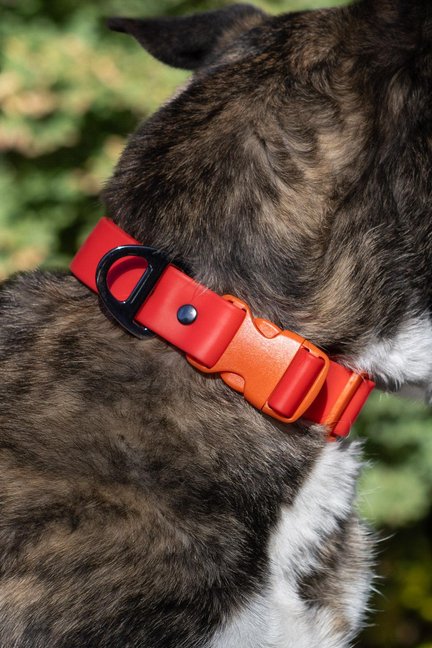 Scarlet Peaks Waterproof Dog Collar-Aria the Fox-Neema's Pets