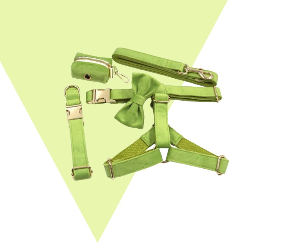 Avocado Velvet Corduroy Pet Collection - Neema's Pets