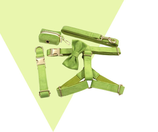 Avocado Velvet Corduroy Pet Collection - Neema's Pets