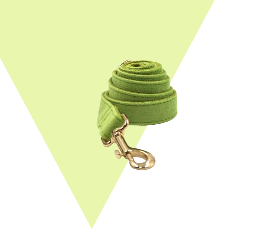 Avocado Velvet Corduroy Pet Collection - Neema's Pets