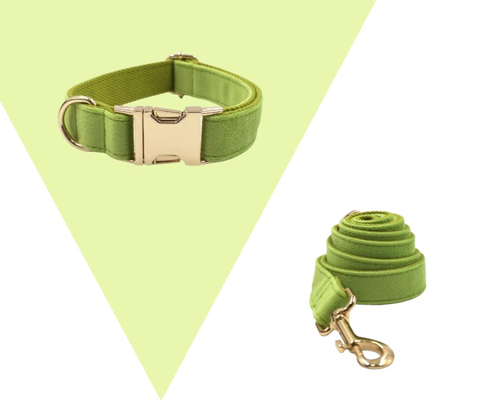 Avocado Velvet Corduroy Pet Collection - Neema's Pets