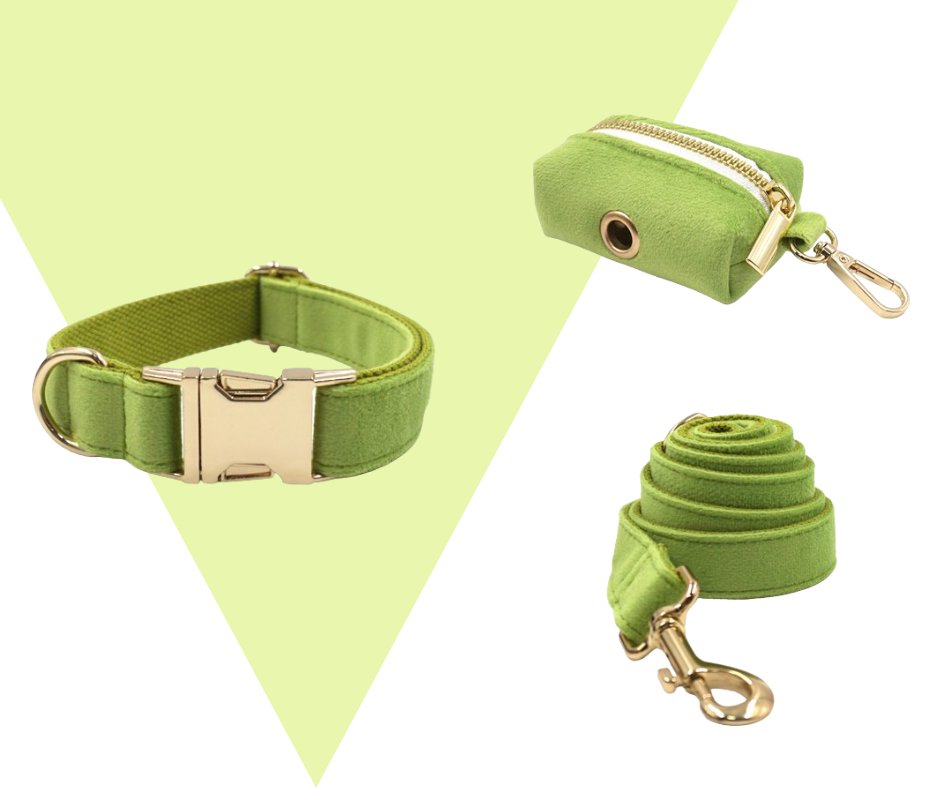 Avocado Velvet Corduroy Pet Collection - Neema's Pets