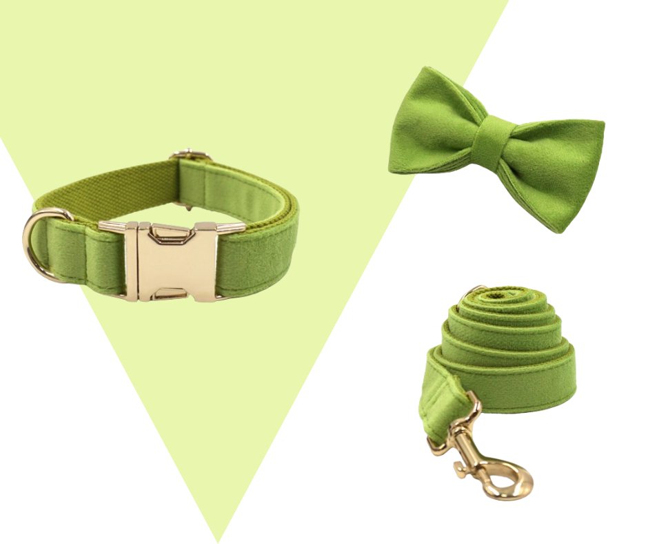 Avocado Velvet Corduroy Pet Collection - Neema's Pets