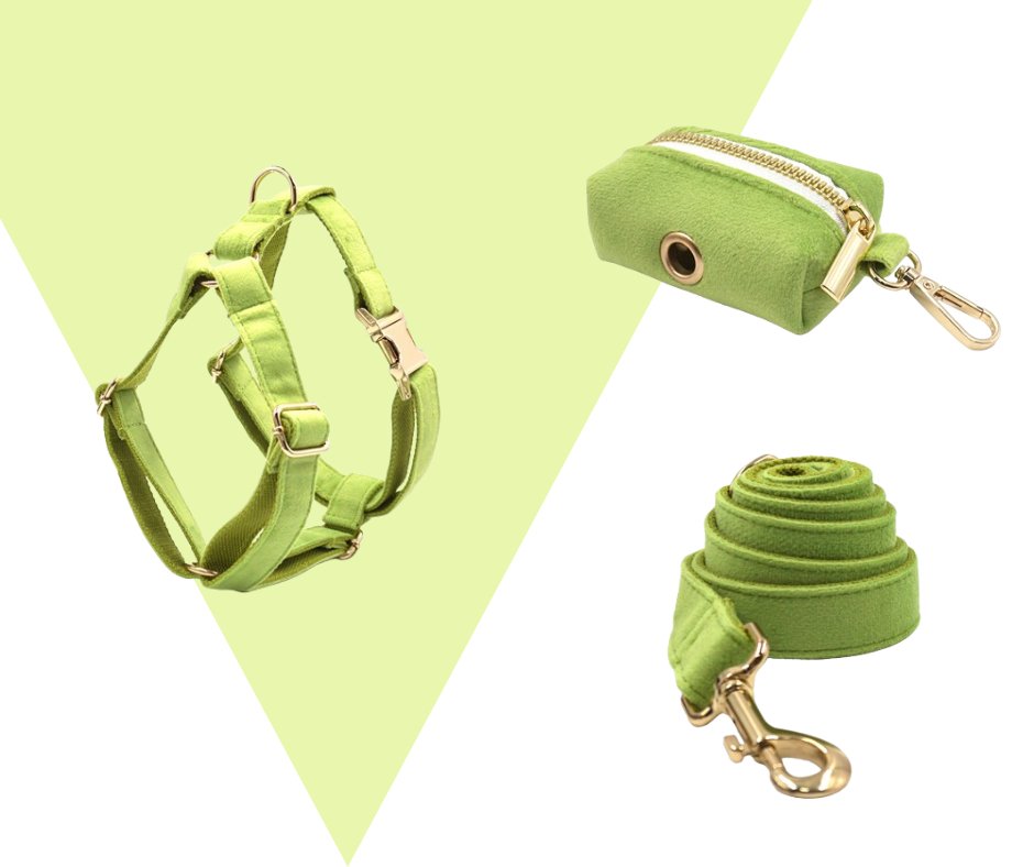 Avocado Velvet Corduroy Pet Collection - Neema's Pets