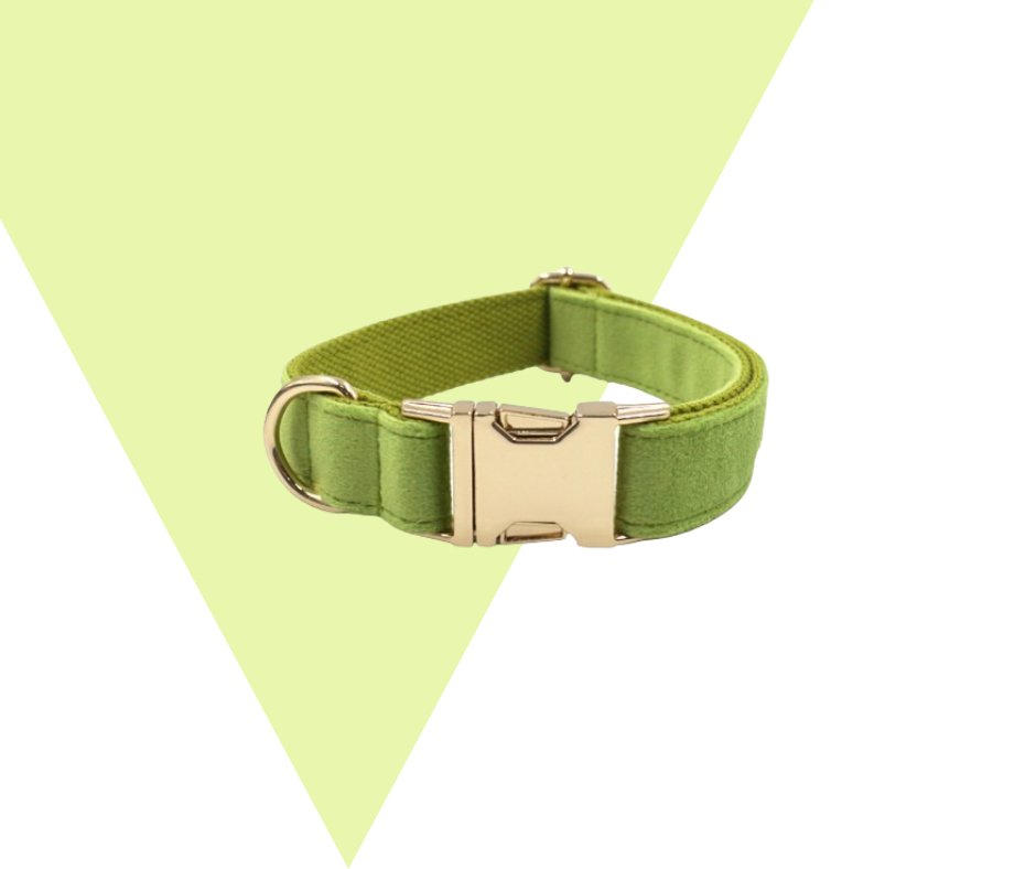 Avocado Velvet Corduroy Pet Collection - Neema's Pets