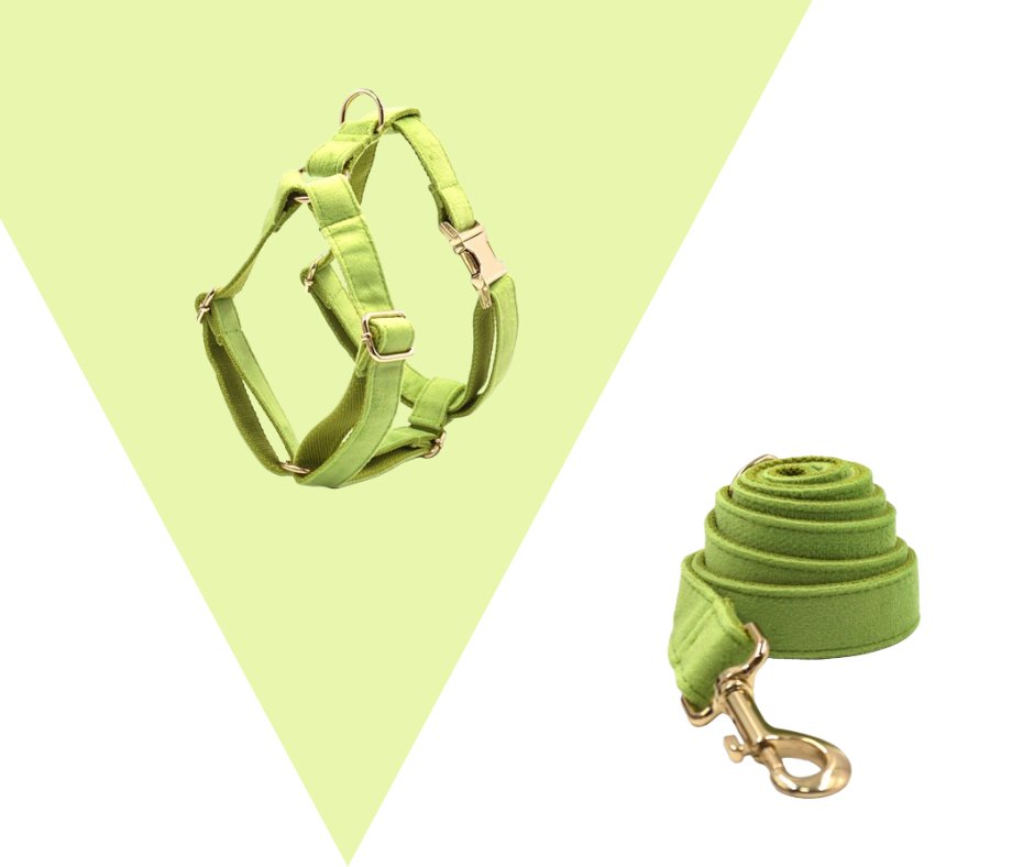 Avocado Velvet Corduroy Pet Collection - Neema's Pets
