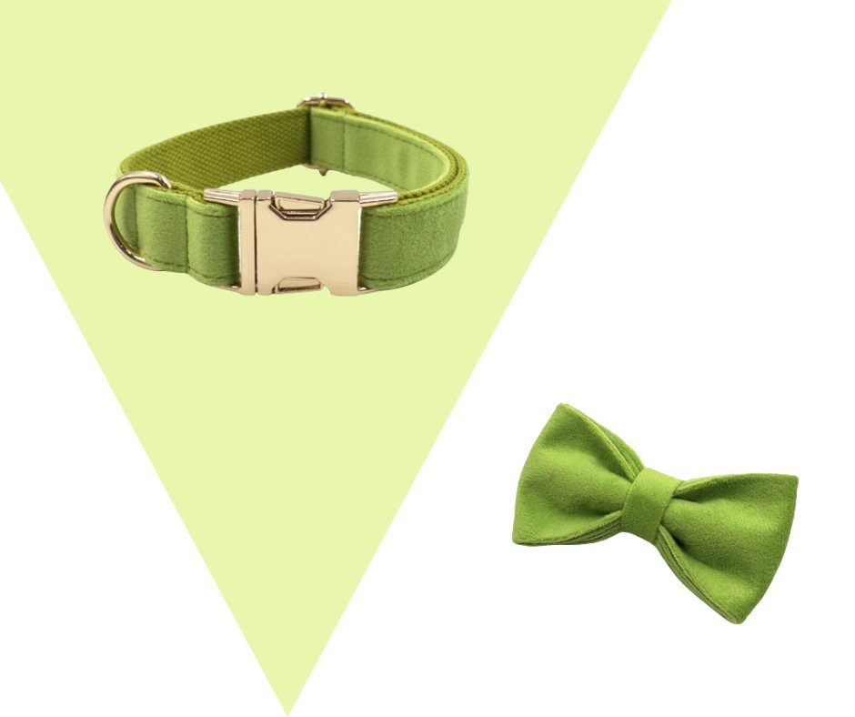 Avocado Velvet Corduroy Pet Collection - Neema's Pets