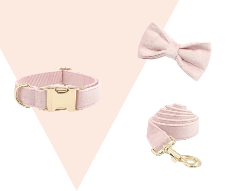 Baby Pink Corduroy velvet Pet Collection - Heyripet - Neema's Pets