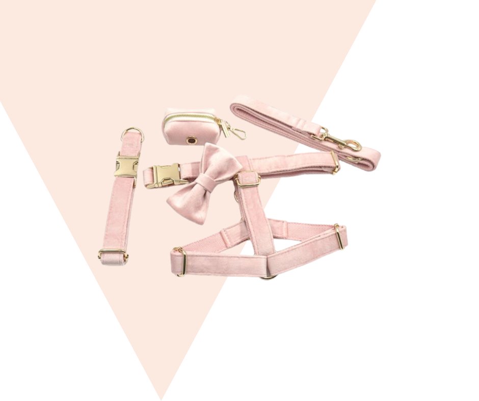 Baby Pink Corduroy velvet Pet Collection - Heyripet - Neema's Pets