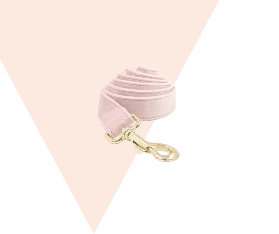 Baby Pink Corduroy velvet Pet Collection - Heyripet - Neema's Pets