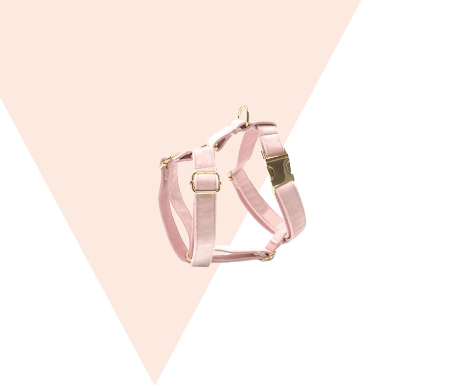 Baby Pink Corduroy velvet Pet Collection - Heyripet - Neema's Pets