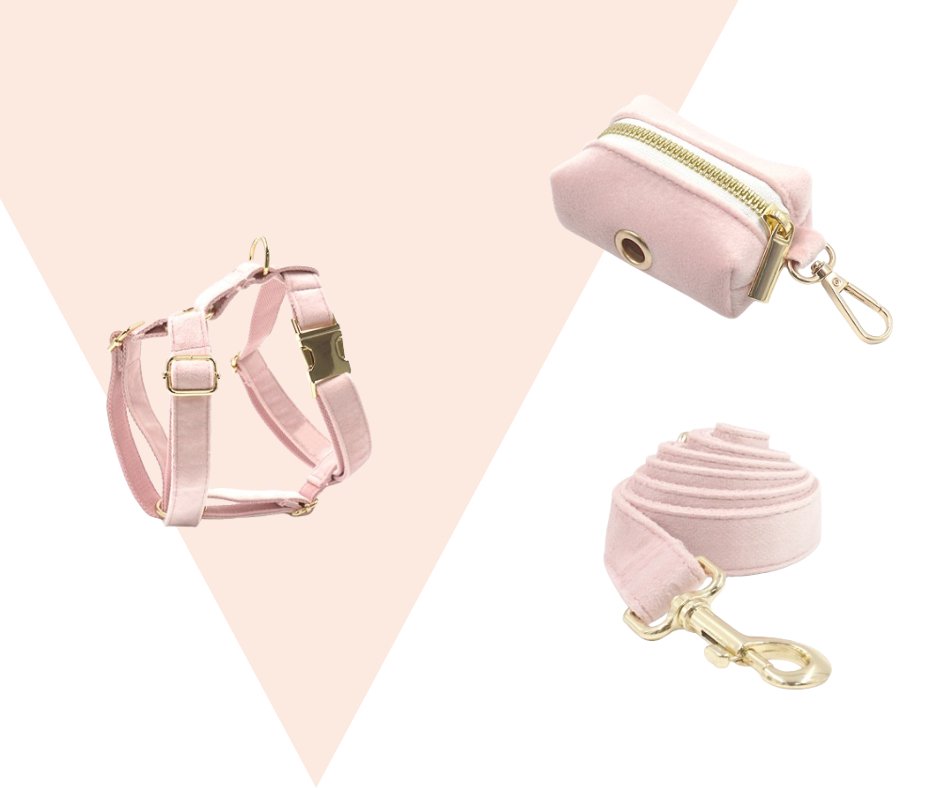 Baby Pink Corduroy velvet Pet Collection - Heyripet - Neema's Pets