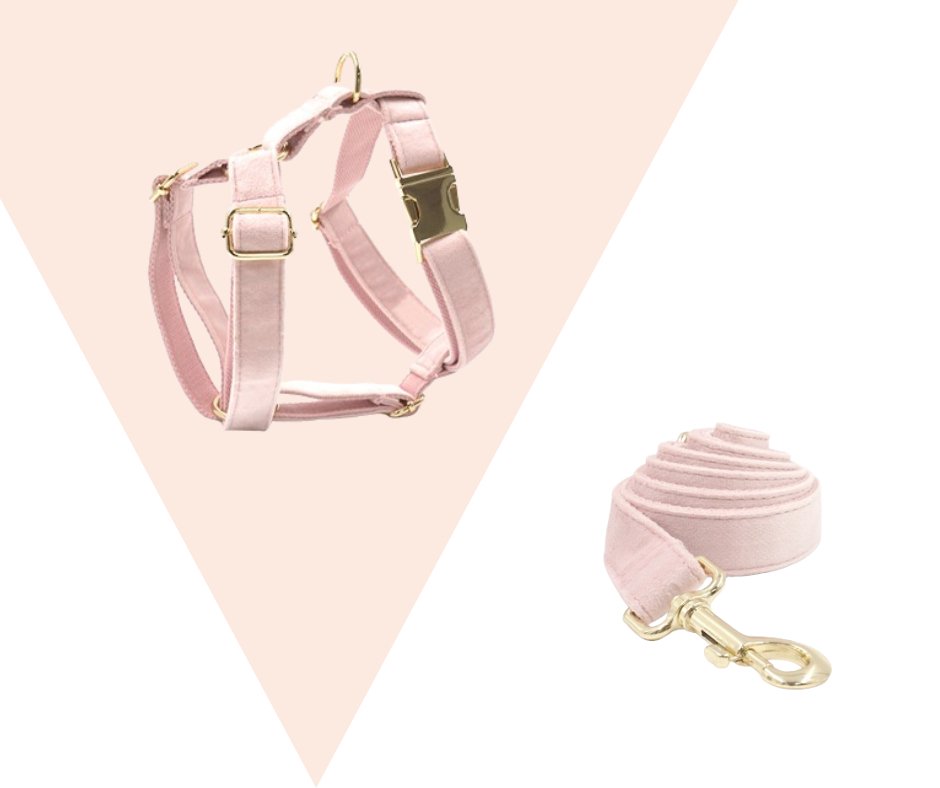 Baby Pink Corduroy velvet Pet Collection - Heyripet - Neema's Pets