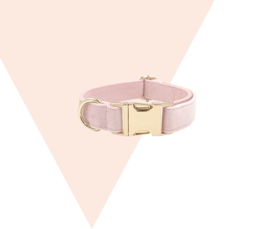 Baby Pink Corduroy velvet Pet Collection - Heyripet - Neema's Pets