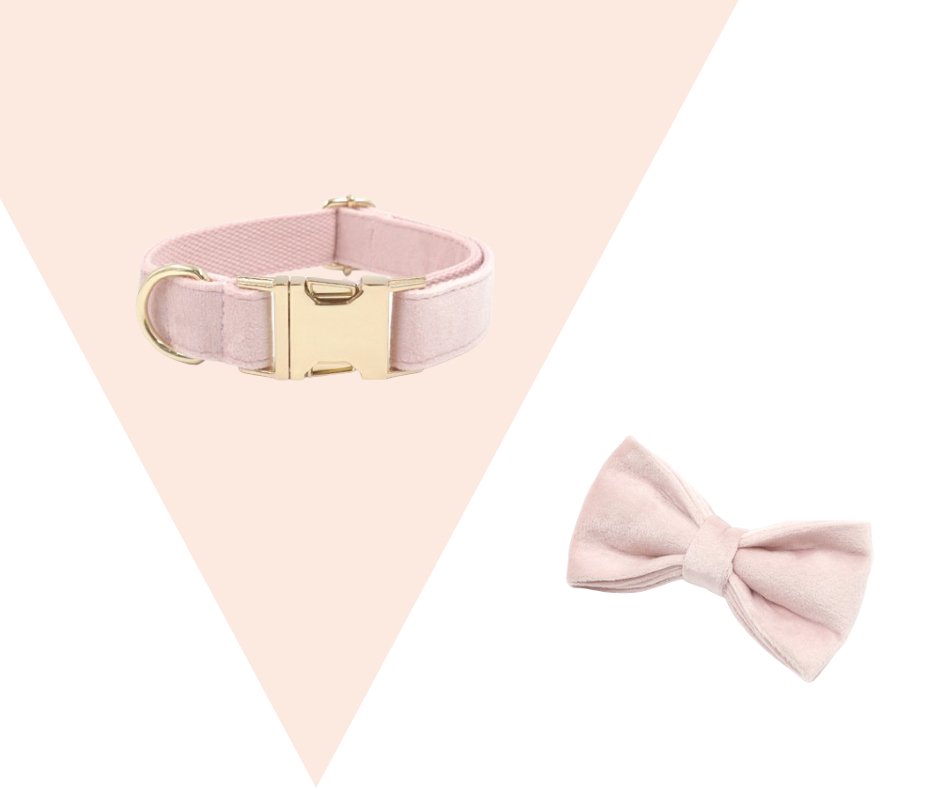 Baby Pink Corduroy velvet Pet Collection - Heyripet - Neema's Pets