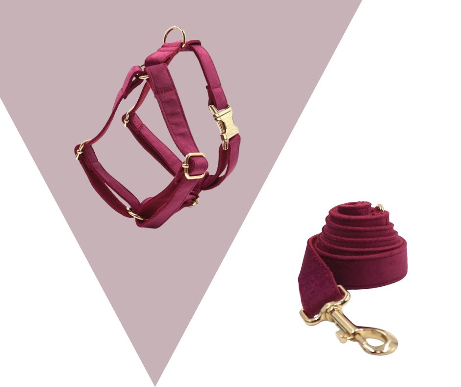 Burgundy Velvet Pet Collection: Elevate Your Pet's Style-Heyripet-Neema's Pets
