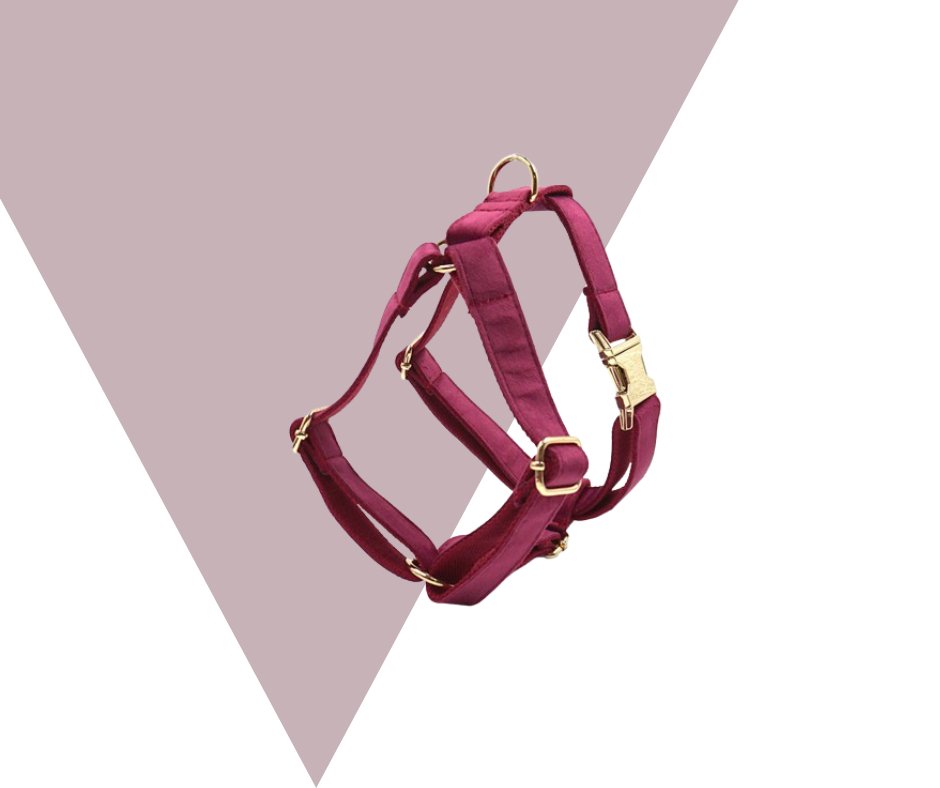 Burgundy Velvet Pet Collection: Elevate Your Pet's Style-Heyripet-Neema's Pets