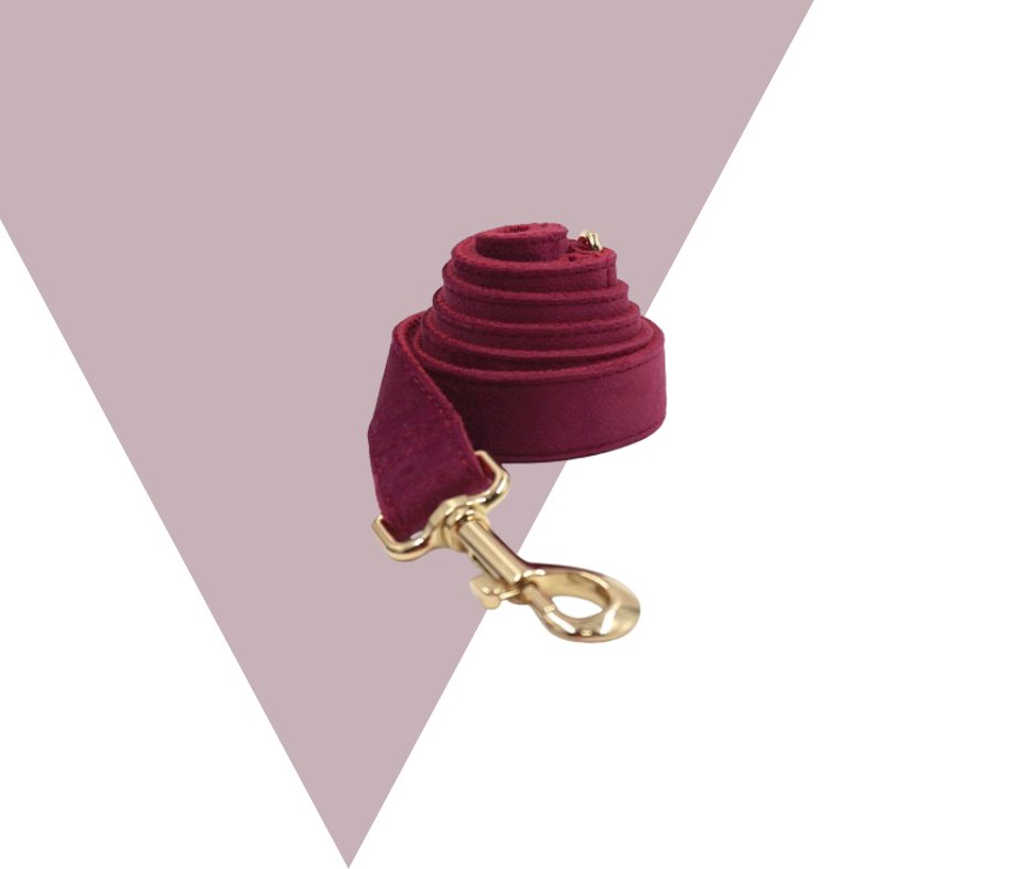 Burgundy Velvet Pet Collection: Elevate Your Pet's Style-Heyripet-Neema's Pets