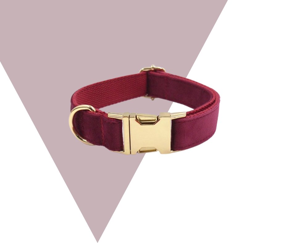 Burgundy Velvet Pet Collection: Elevate Your Pet's Style-Heyripet-Neema's Pets