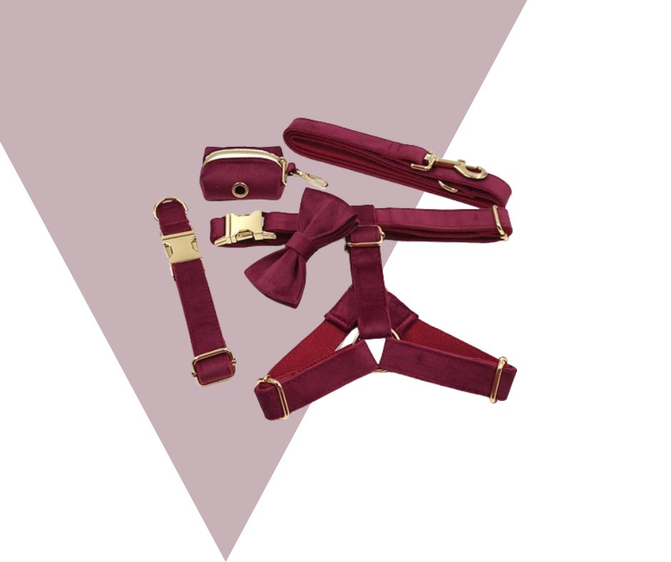 Burgundy Velvet Pet Collection: Elevate Your Pet's Style-Heyripet-Neema's Pets
