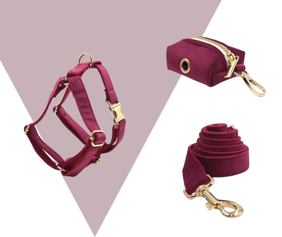 Burgundy Velvet Pet Collection: Elevate Your Pet's Style-Heyripet-Neema's Pets