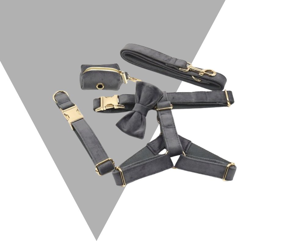 Dark Grey Velvet Corduroy Pet Collection - Neema's Pets